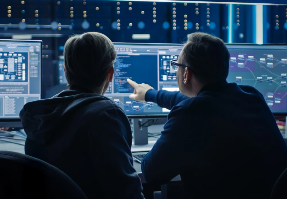 img security assessment